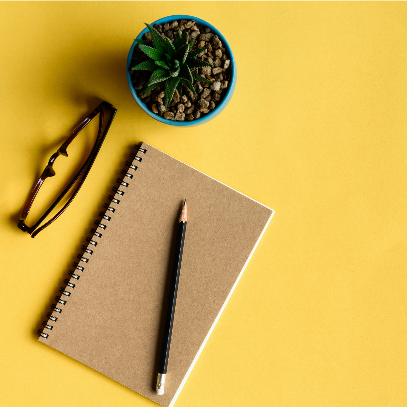 Yellow background with notebook, glasses & plant depicting Supervision