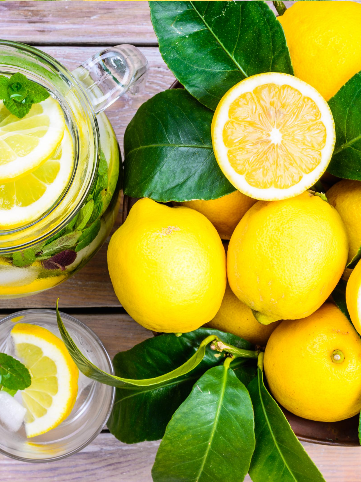 Lemons and Leaves Describing Nutrition Counseling