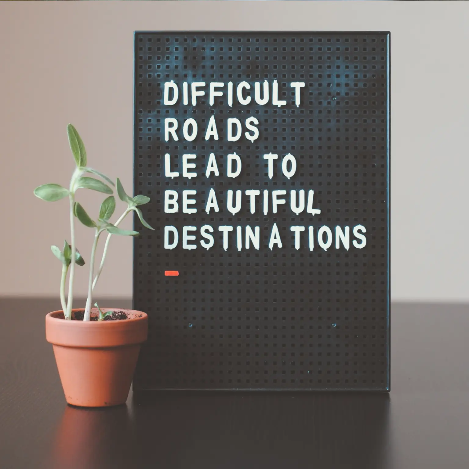 Eating Disorder - Message board and plant, message 