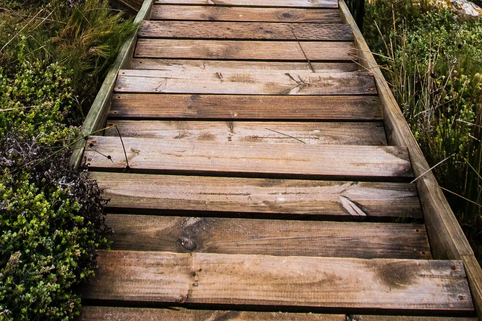 STEP® - Supplemental Treatment Based in Experiential and Exposure Programming Van Dusen Nutrition